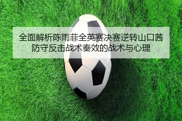 全面解析陈雨菲全英赛决赛逆转山口茜 防守反击战术奏效的战术与心理