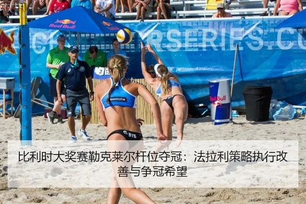 bi-li-shi-da-jiang-sai-lei-ke-lai-er-gan-wei-duo-guan-fa-la-li-ce-lve-zhi-xing-gai-shan-yu-zheng-guan-xi-wang-3-299.jpg